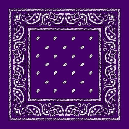 Pcs lot 100 cotton paisley - 12,